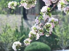 -元大都城垣遗址公园