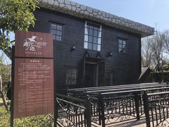 -金山农民画村-枫泾波兰倒置屋