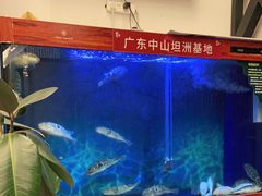 -肆月河豚·新淮扬(金融街店)
