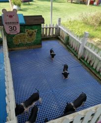 -萌宠亲子动物乐园(槐房万达店)