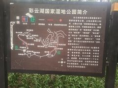 -重庆彩云湖湿地公园