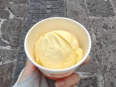 -iceason爱茜茜里·意大利健康冰淇淋(骑龙巷店)
