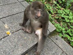 -西岭雪山大飞水景区