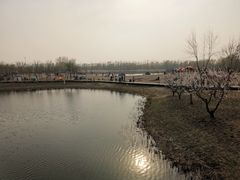 -东郊湿地公园