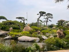 -罗红摄影艺术馆