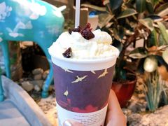 -茶颜悦色(岳麓山顶店)