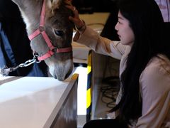 -北京三里屯CHAO酒店