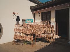 -召稼楼古镇