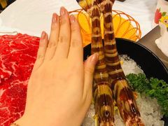 -鲜入围煮花胶鸡海鲜火锅