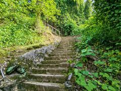 -龙泉洞(沙坪坝区)