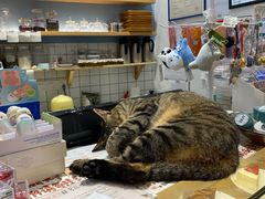 -猫的天空之城概念书店(杭州南宋御街店)