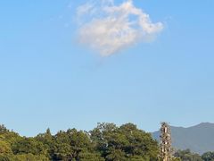 -深圳仙湖植物园