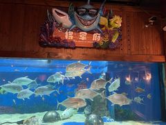 -成都浩海立方海洋公园