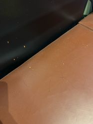 -卡通尼·Safari非洲探索乐园·生日会(金桥国际商业广场店)