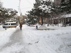 -哈尔滨文化公园