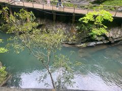 -石台牯牛降景区