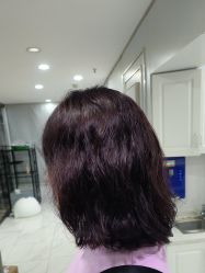 -镁连社·美联社