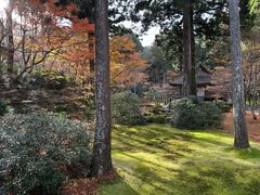 -三千院
