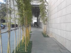 -上海柏悦酒店