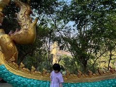 -西双版纳勐泐文化旅游区