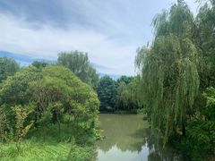 -同里国家湿地公园