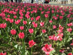 -长春公园(普阳街道)