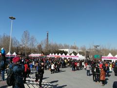 -朝阳公园