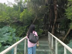 -三圣花乡旅游区