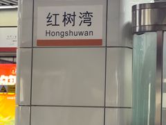 -红树湾(地铁站)