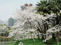 -堤角公园