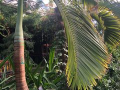 -呀路古热带植物园
