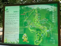 -大雁山风景区