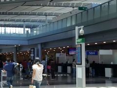 -西沃古尔·拉姆古兰爵士国际机场