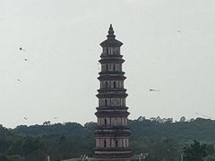 -合浦汉代文化博物馆