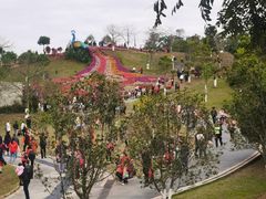 -东莞植物园