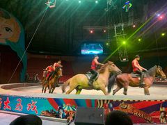 -俄罗斯国家大马戏团