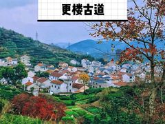-四明山国家森林公园