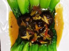 -爱月宝月嫂·育儿嫂(哈尔滨总店)