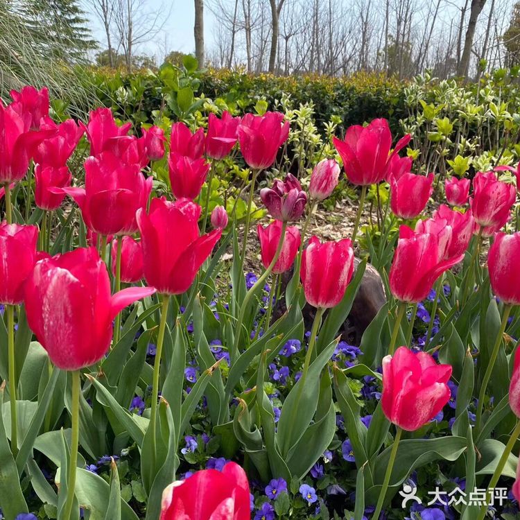 观赏着美丽的风景，春回大地，万物复苏，吸着清新的空气