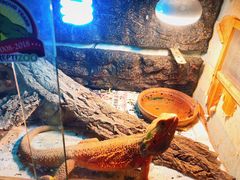 -Rabbit Cafe私房西餐甜点咖啡(栖霞路店)