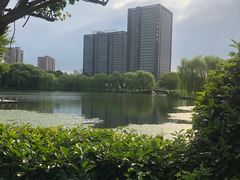 -杭州城北体育公园