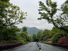 -莫干山风景区