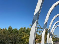 -大兴滨河森林公园