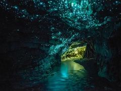 -怀托摩萤火虫洞