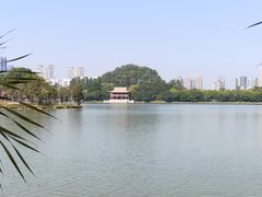 -顺峰山公园