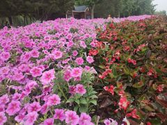 -泉城广场