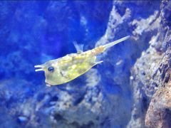 -福州罗源湾海洋世界旅游区