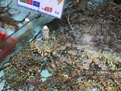 -渔民新村(番禺总店)