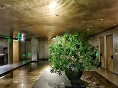 -隐溪茶馆(静安寺店)
