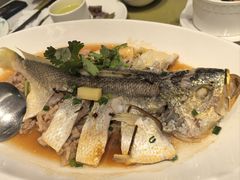 -顺意·顺德家乡菜(国际人才大厦店)